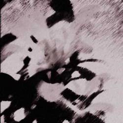 Sun Devoured Earth : Pop Songs for the Suicidal